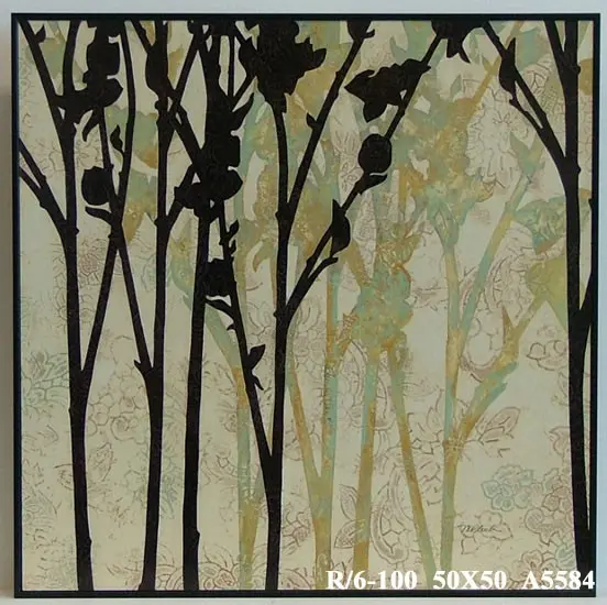 50x50