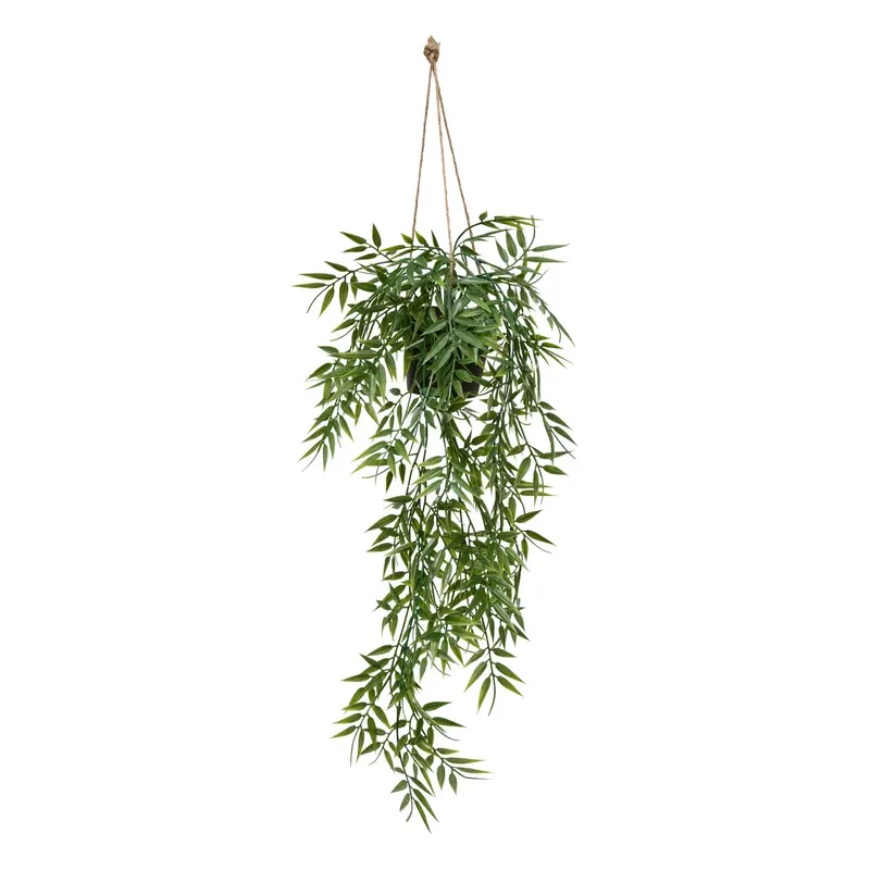 Bambus wiszący w doniczce LIORA, 67 cm