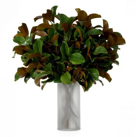Bukiet Eichholtz liście magnolii 24 szt