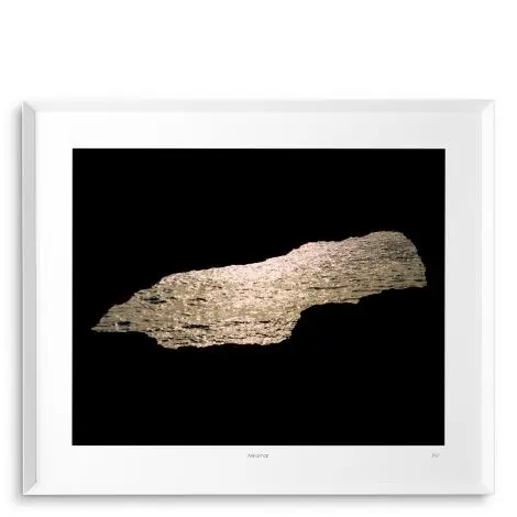 Fotoobraz Eichholtz Philippe Vogelenzang - Miramar