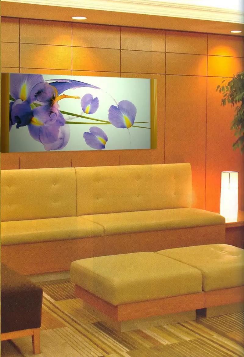 Hall z abstrakcyjnym irysem 100x50 cm