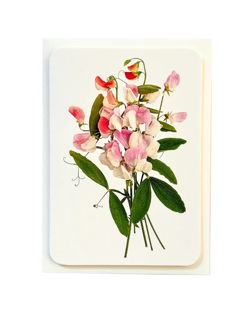 Kartka okolicznościowa z kopertą Sweet Peas