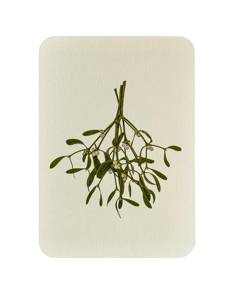Kartka świąteczna z kopertą Mistletoe Christmas