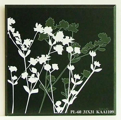 Obraz Białe i brązowe rośliny 31x31 cm
