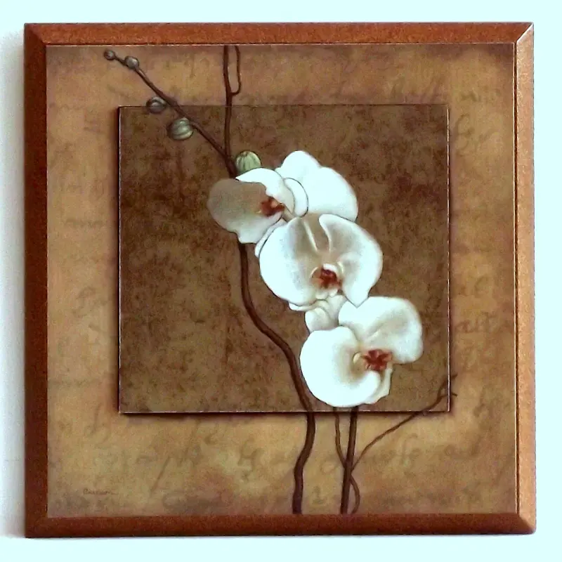 Obraz Białe kwiaty storczyka 19x19 cm