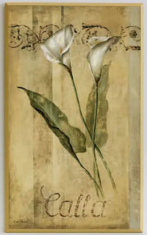 Obraz Białe kwiaty w klasycznej odsłonie - Kalie 31x51 cm