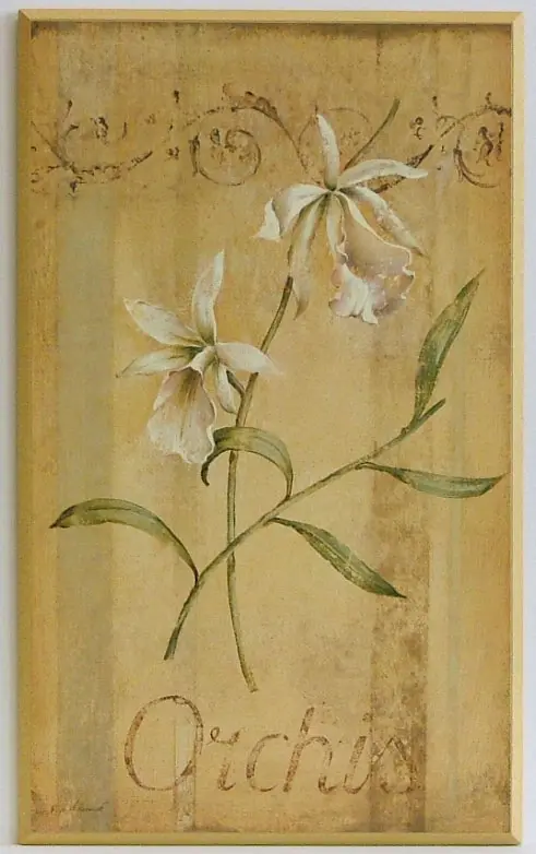 Obraz Białe kwiaty w klasycznej odsłonie, storczyki 31x51 cm