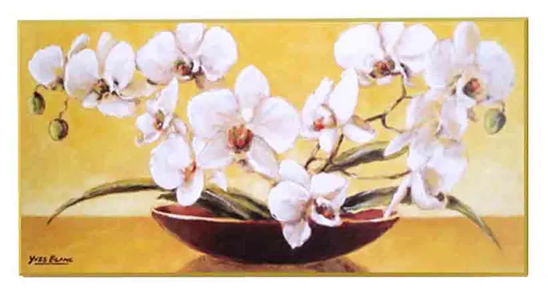 Obraz Białe storczyki na talerzu 101x51 cm
