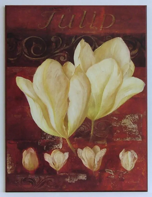 Obraz Białe tulipany 61x81 cm
