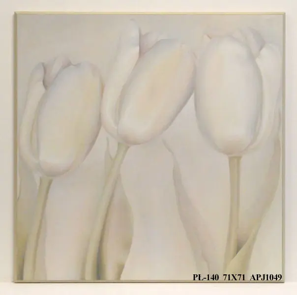 Obraz Białe tulipany na białym tle 71x71 cm