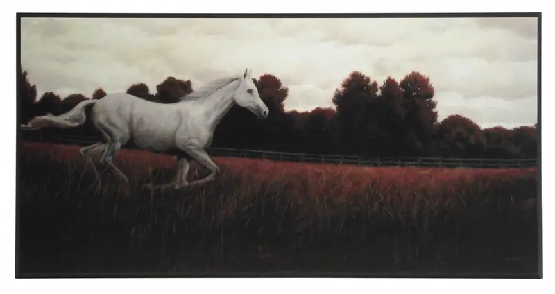 Obraz Biały koń na pastwisku, cz. I na płycie 81x41 cm