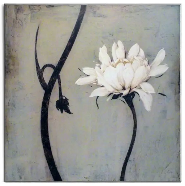 Obraz Biały kwiat i łodygi 71x71 cm