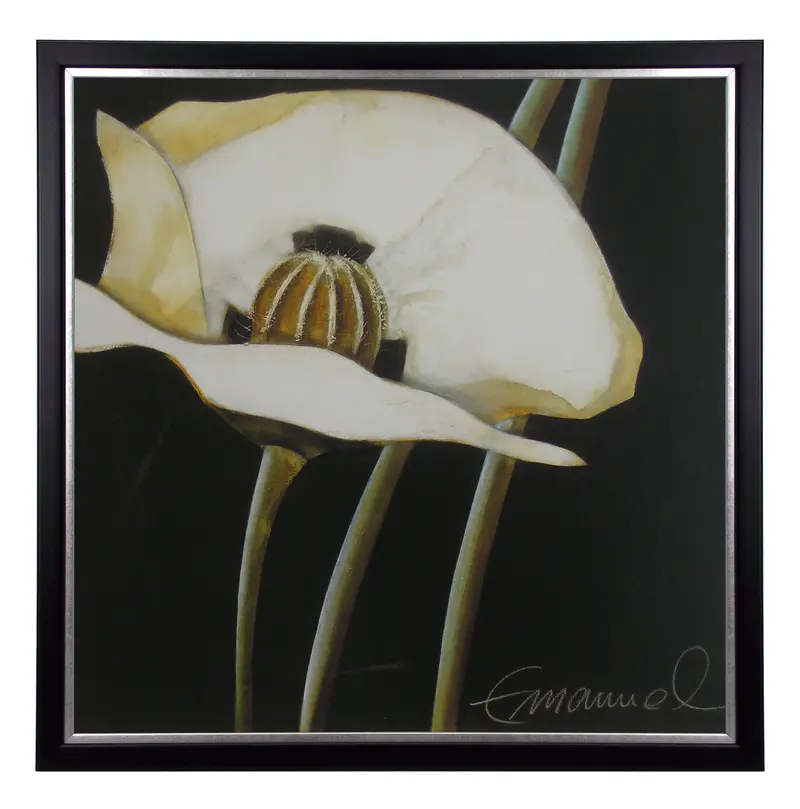 Obraz Biały kwiat maku w ramie 70x70 cm