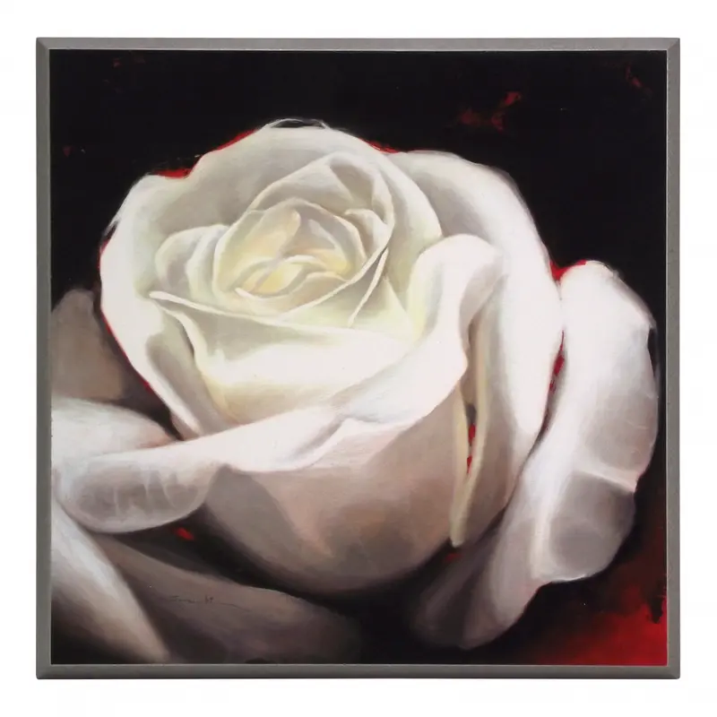 Obraz Biały kwiat Róży na czarnym tle na płycie 31x31 cm