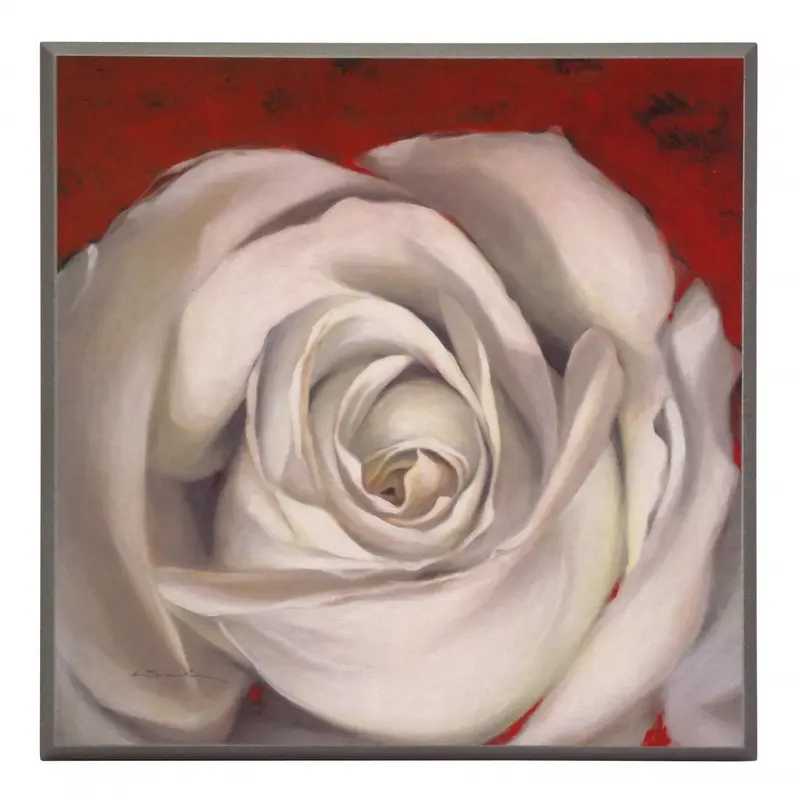 Obraz Biały kwiat Róży na czerwonym tle na płycie 31x31 cm