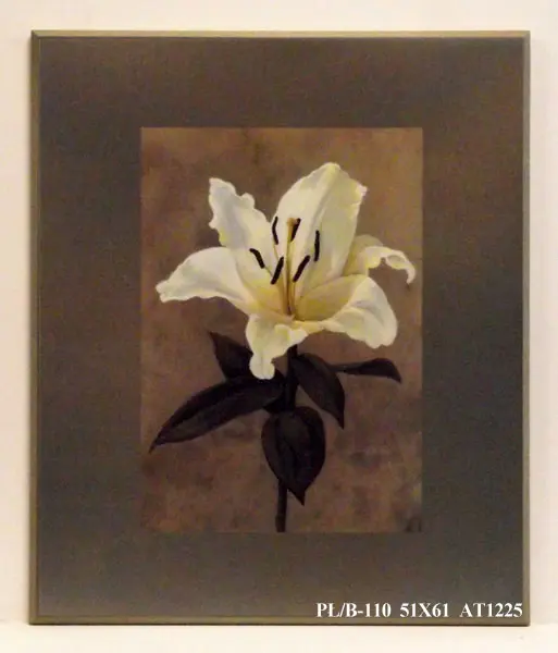 Obraz Biały kwiat w brązach, lilia 51x61 cm