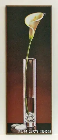 Obraz Biały kwiat w szklanym wazonie 26x71 cm