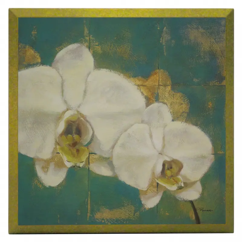 Obraz Biały storczyk 19x19 cm