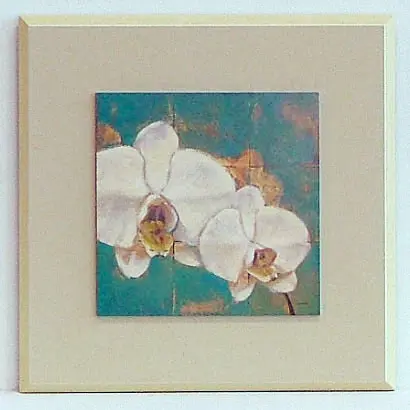 Obraz Biały storczyk 28x28 cm