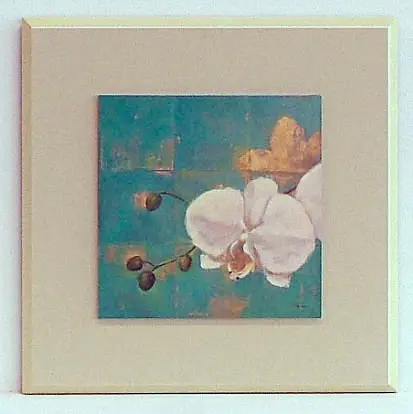 Obraz Biały storczyk 28x28 cm
