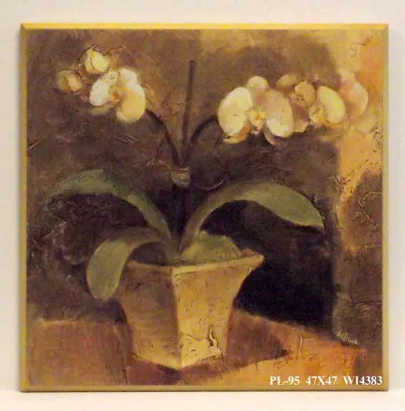 Obraz Biały storczyk w brązach 47x47 cm