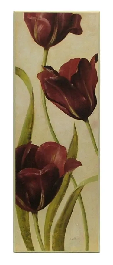 Obraz Bordowe tulipany na płycie 34x96 cm