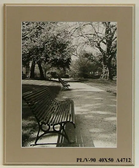 Obraz Central Park 40x50 cm