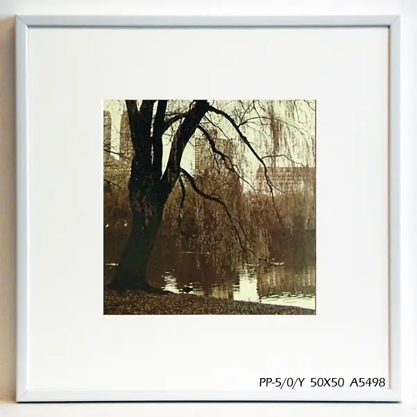 Obraz Central Park, sepia 50x50 cm