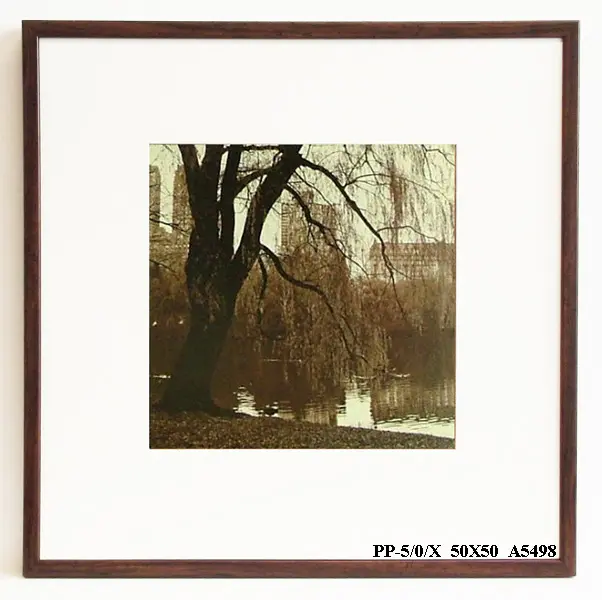 Obraz Central Park, sepia 50x50 cm