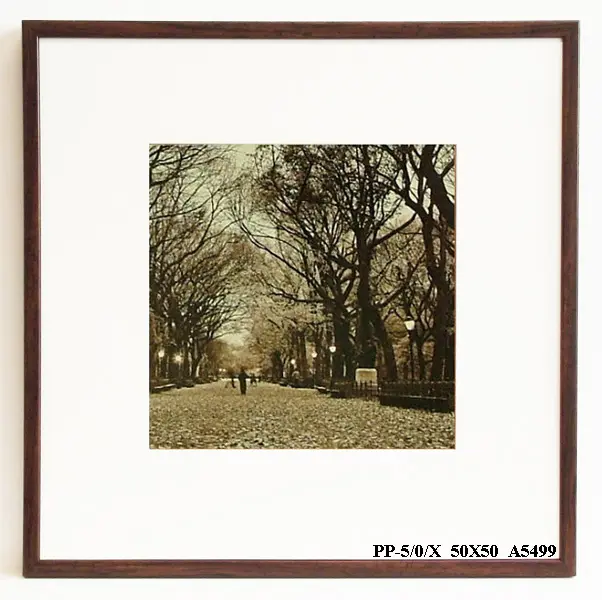 Obraz Central Park, sepia 50x50 cm
