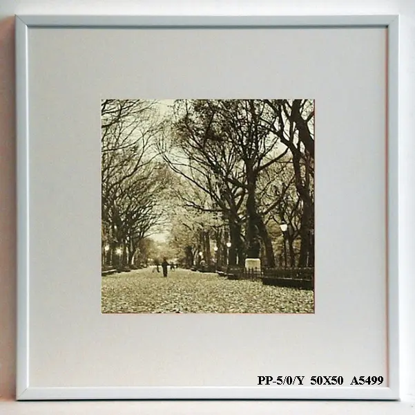 Obraz Central Park, sepia 50x50 cm