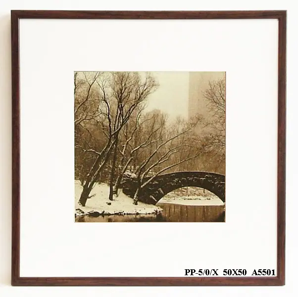 Obraz Central Park, zima 50x50 cm