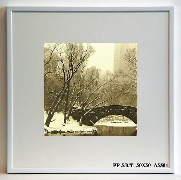 Obraz Central Park, zima 50x50 cm
