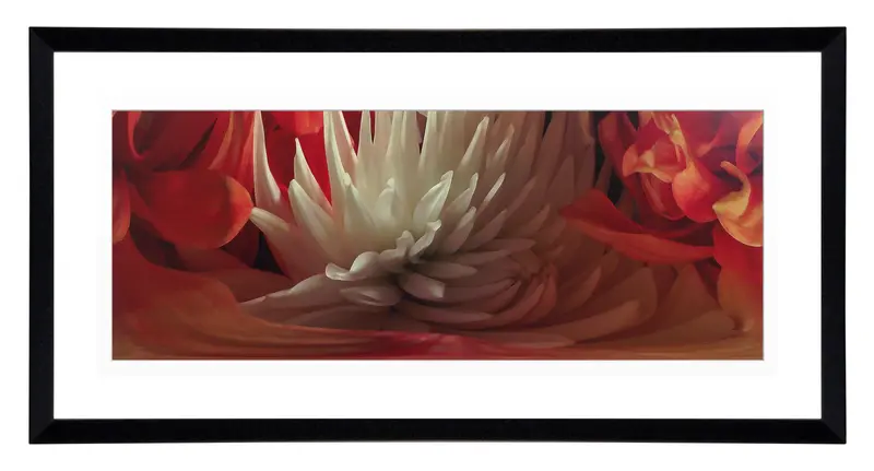 Obraz Chryzantemy w ramie 91x46 cm