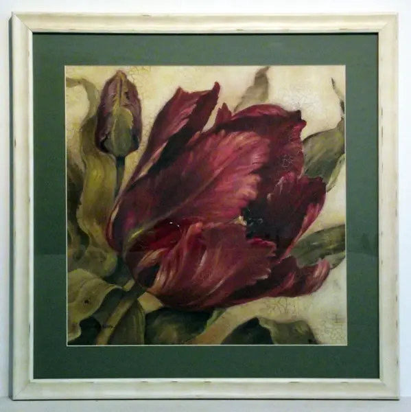 Obraz Czerwony kwiat tulipana 48x48