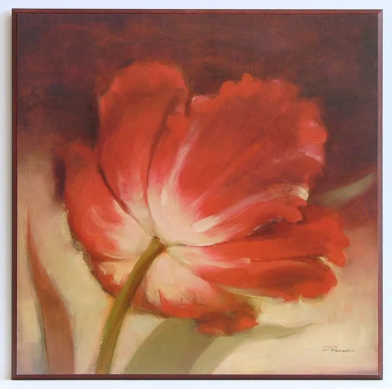 Obraz Czerwony tulipan 51x51 cm