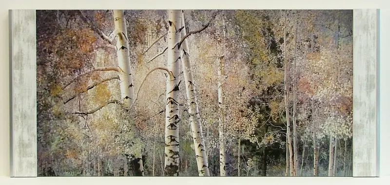 Obraz Drzewa, las, brzozy w półramie 96x50 cm