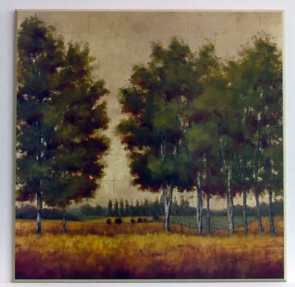 Obraz Drzewa na łące 71x71 cm