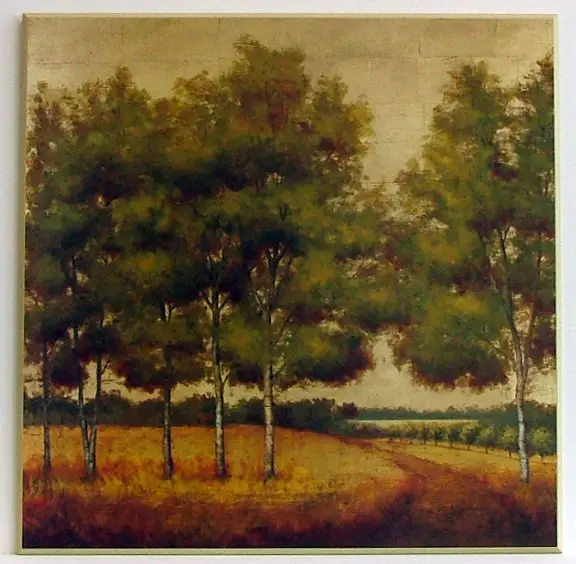 Obraz Drzewa na łące 71x71 cm