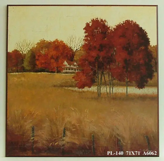 Obraz Drzewa wśród pól 71x71 cm