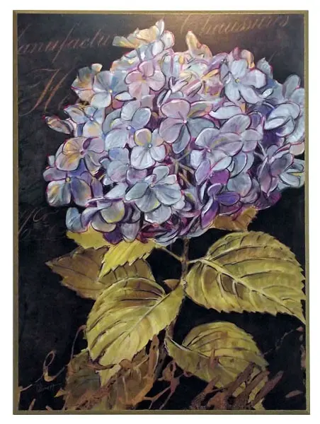 Obraz Duża główka kwiatu, niebieska hortensja na płycie 61x81 cm