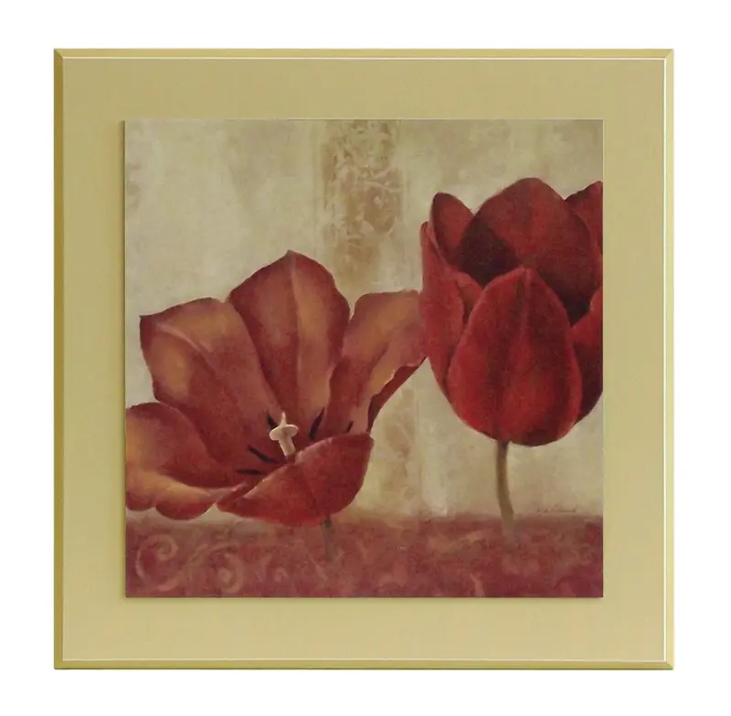 Obraz Dwa tulipany na płycie z pogrubieniem 51x51 cm