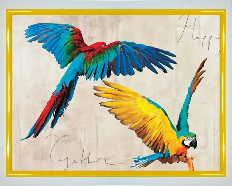 Obraz Dwie kolorowe papugi 80x60 cm