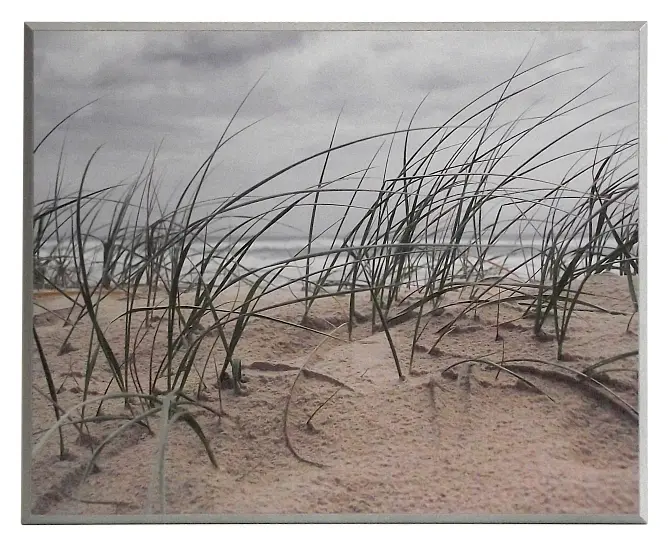 Obraz Fotografie znad morza, wydmy na płycie 51x41 cm