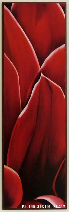 Obraz Fragment czerwonego kwiatu 31x101 cm