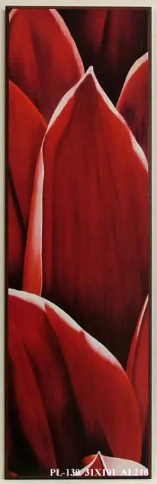 Obraz Fragment czerwonego kwiatu 31x101 cm