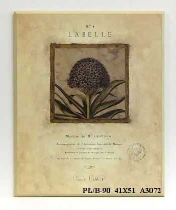 Obraz Gablotka z kwiatem 41x51 cm