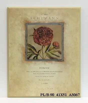 Obraz Gablotka z kwiatem 41x51 cm