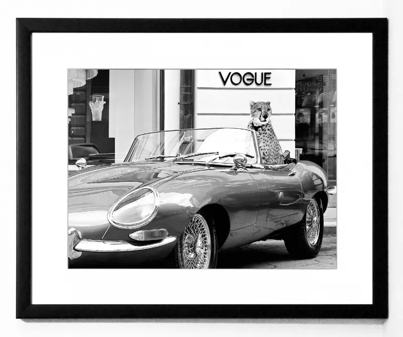 Obraz Gepard w mieście, En Vogue, czarno-biała fotografia w ramie 50x40 cm