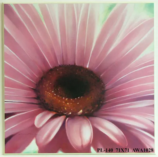 Obraz Gerbera różowa 71x71 cm